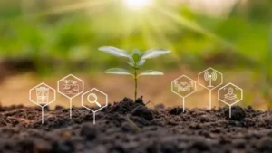 پایش خاکهای شور و اصلاح آن با دادههای IoT